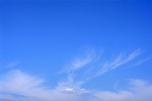 大自然の中に設けられている大阪の霊園