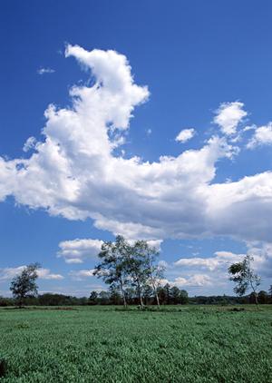 樹木葬は清浄山禪興寺で行えます
