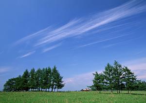 静岡県浜松市中央区における家族葬の専門斎場「家族葬のタクセル領家」? 安心・低価格の葬儀サービス