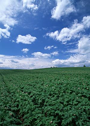 静岡市駿河区の家族葬専門斎場「家族葬のタクセル大和」 低価格かつ安心の家族葬サービスを提供