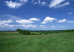 さいたまの葬儀を完全ガイド！コストパフォーマンスと信頼できる葬儀社の選び方