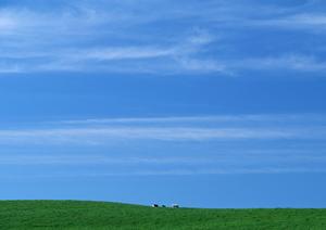 手元供養をするならトモエ陶業株式会社