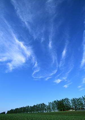 家族葬を心地よく。川越で信頼できる葬儀サービスを徹底解説!