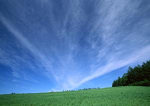 静岡県富士宮市の家族葬専門斎場｜家族葬のタクセル光町の特徴とアクセス情報