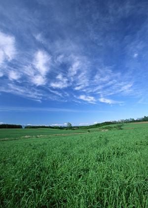 静岡県焼津市の信頼できる家族葬・一般葬を提供する富士葬祭焼津の特長と詳細情報