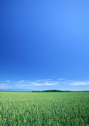 静岡市葵区に新登場！家族葬に最適な【家族葬のタクセル沓谷】の徹底ガイド