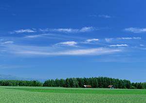 静岡市駿河区の家庭的で上質な葬儀を提供する【富士葬祭 中村町】?家族葬に最適な小規模斎場の詳細解説