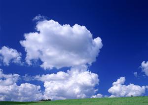 東冠メモリアルプラザ越谷のご紹介