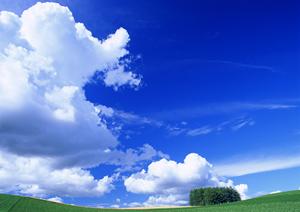 静岡県藤枝市における信頼の葬儀サービス：富士葬祭 藤枝の特徴と詳細情報