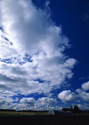 静岡市の安心と信頼を支える葬儀場:富士葬祭 材木町の特徴と魅力