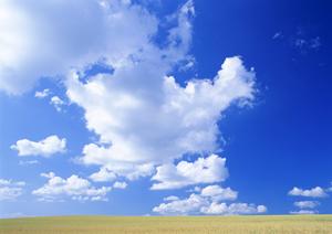 注目される海洋散骨代行サービス