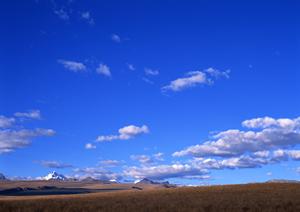 越谷市で信頼される葬儀場「ティア越谷」の特徴とサービス内容を徹底解説