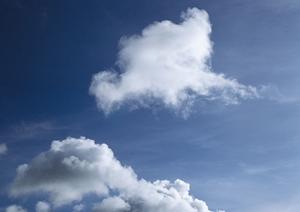 都心で納骨堂を探すならここ