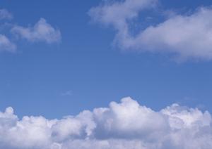 静岡市で安心・信頼の葬儀を実現【富士葬祭 静岡】の特徴と店舗情報