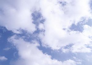 新宿の公営斎場で葬儀を営みたい場合は