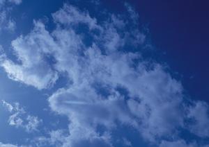 小規模でも個性ある葬儀を行いたい場合