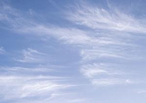 【公式】家族葬のタクセル雀宮｜栃木県宇都宮市の家族葬・斎場・葬儀場の特徴と利点