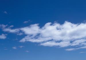 【最新版】川越市で信頼できる葬儀サービスを見つけるための完全ガイド