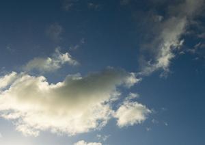 青森で選ぶ家族葬の全知識！安心して選べる葬儀社と費用ガイド