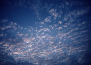 年中無休のさいたま市の葬儀サービス