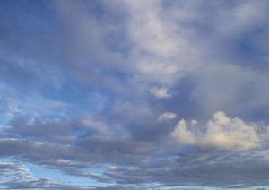 静岡県で低価格かつ信頼の葬儀サービスを提供する家族葬のタクセルの詳細ガイド