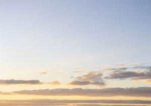 仙台近郊にある樹木葬ができるお寺