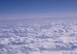 法事や法要に必要な返礼品を購入するには